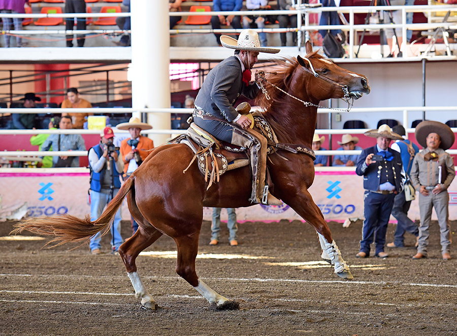 Lorenzo Ríos ejecutando el medio izquierdo, durante la cala de caballo de Rancho Las Cuatas