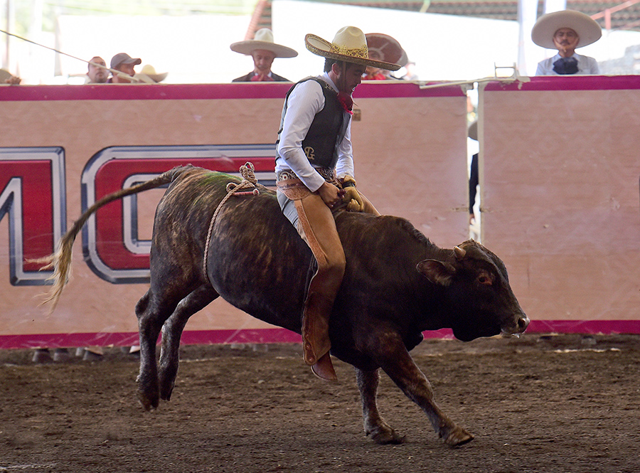 Diego Ibarra completando su jineteo de toro en la final de los charros completos