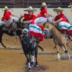 Mi Pasión Rancho Nuevo de Polotitlán alcanzaron 279 unidades