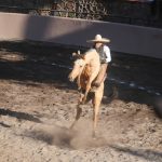 Pedro Cordero jineteó yegua de 23 por Hacienda de Guadalupe