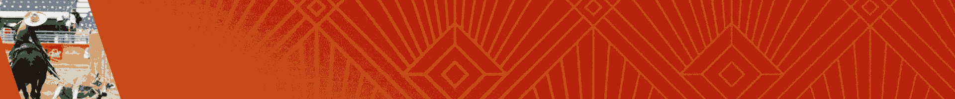 Patrocinador-Oficial