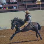 Pese al buen ganado, regulares jineteos de yegua