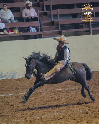 Pese al buen ganado, regulares jineteos de yegua